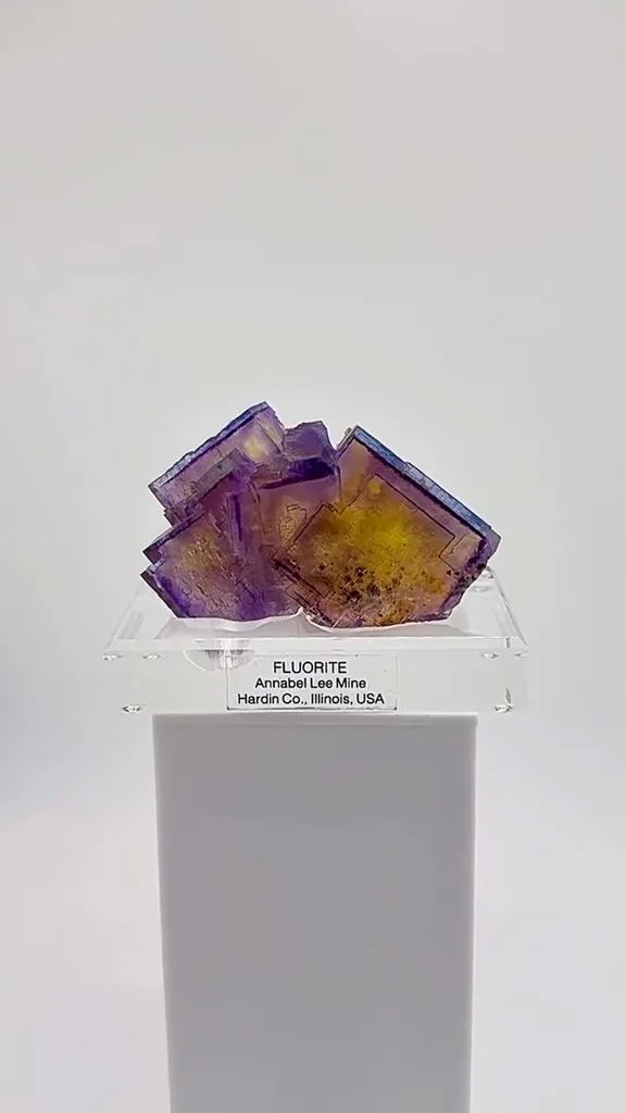 Purple. Gold. Blue. Glass image
