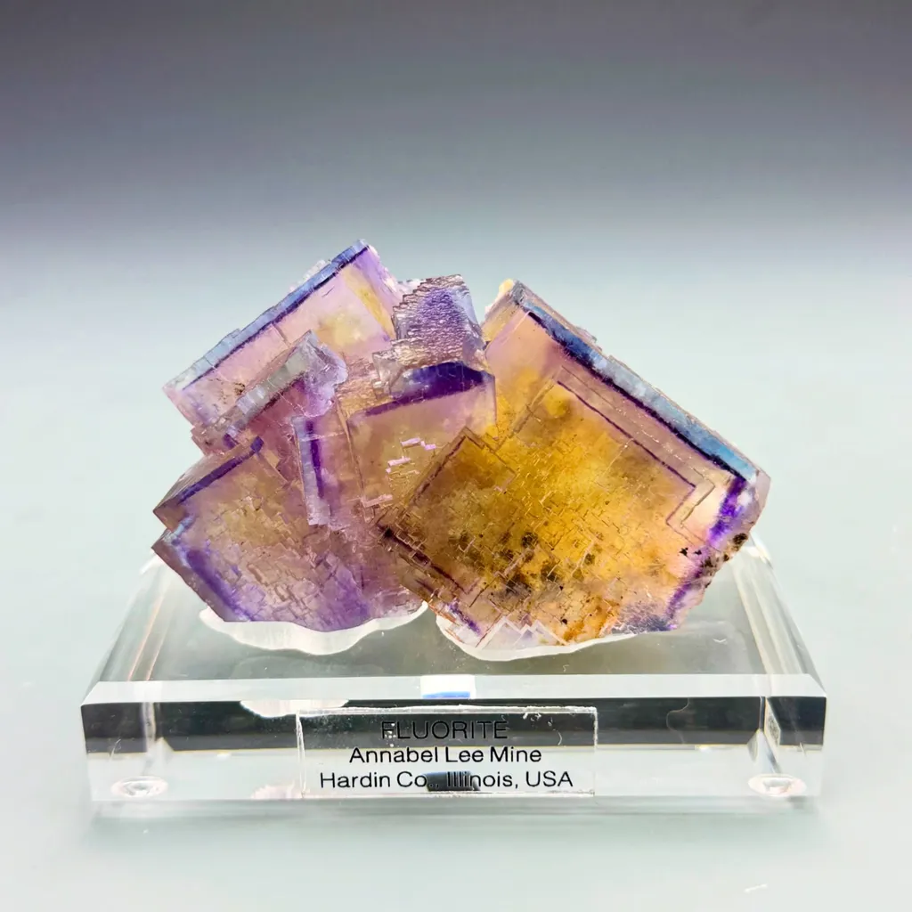 Purple. Gold. Blue. Perfection image