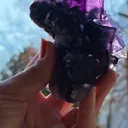 specimen video