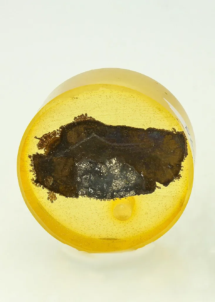 PUTORANITE with MOOIHOEKITE and Cubanite (Polished Section) image