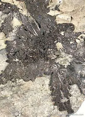 Pyrargyrite - image 3