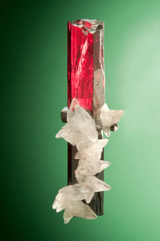 Pyrargyrite from Mexico, Zacatecas, Fresnillo Municipality, Fresnillo image