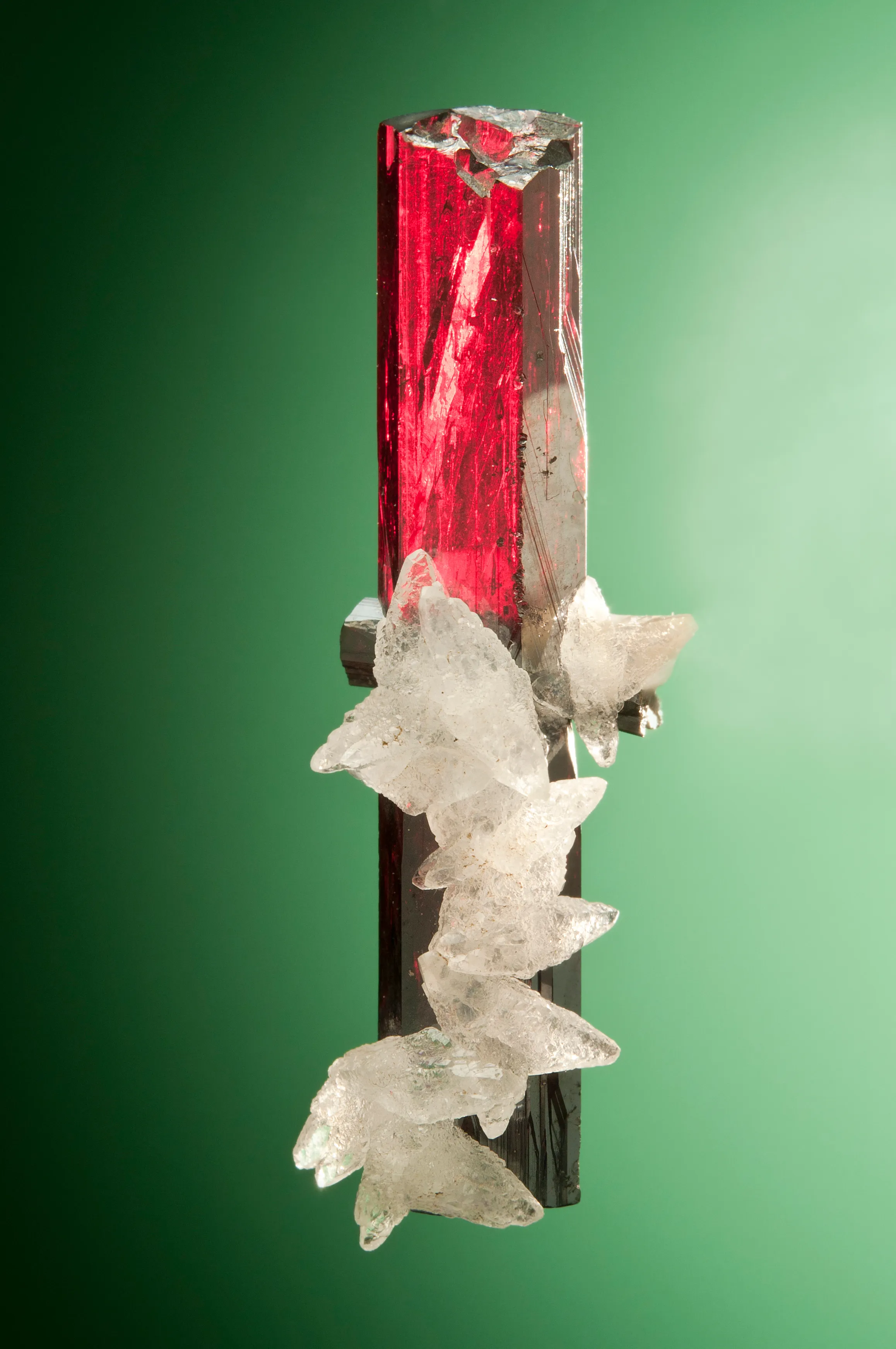 Pyrargyrite from Mexico, Zacatecas, Fresnillo Municipality, Fresnillo - image 1