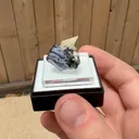 specimen video
