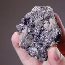 Pyrargyrite with ARGENTOPYRITE and Galena - image 2