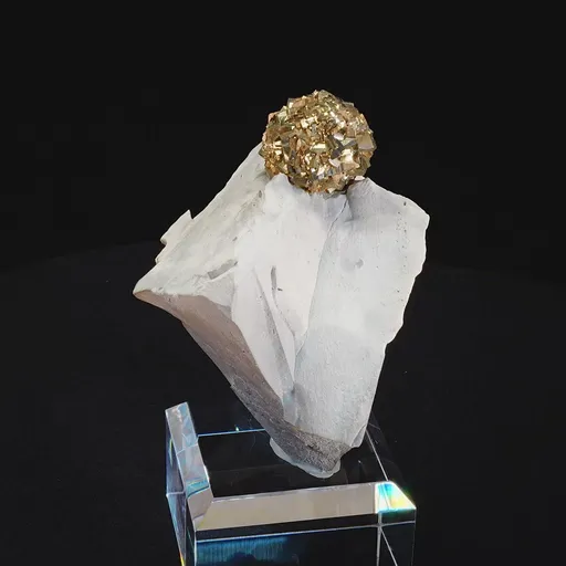 specimen video