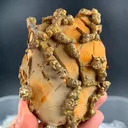 Pyrite - image 4