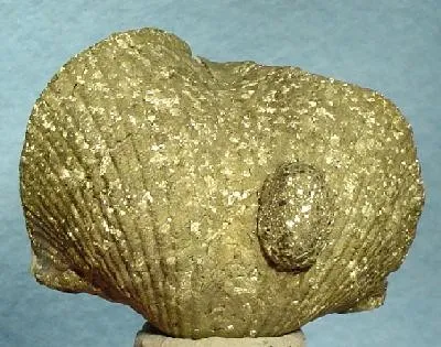 Pyrite - image 2