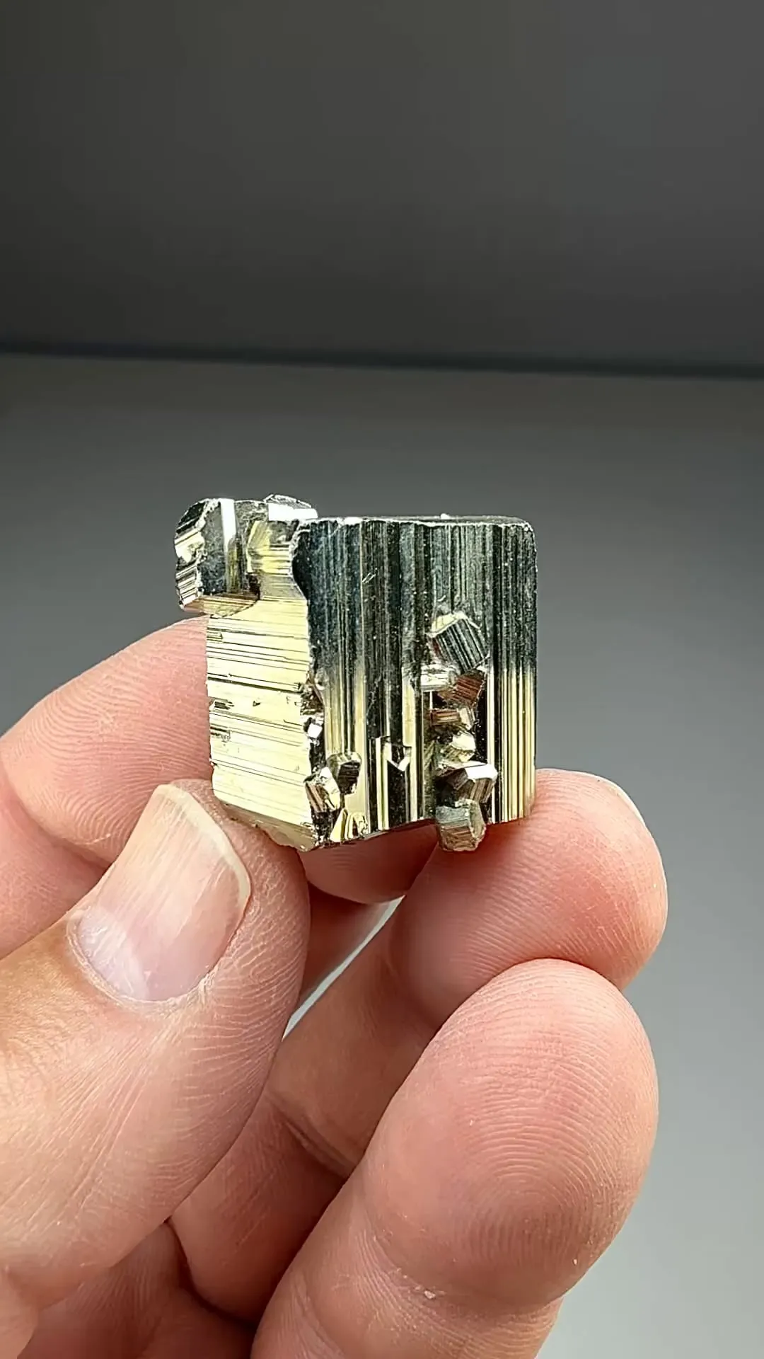 Pyrite (2288) - image 2