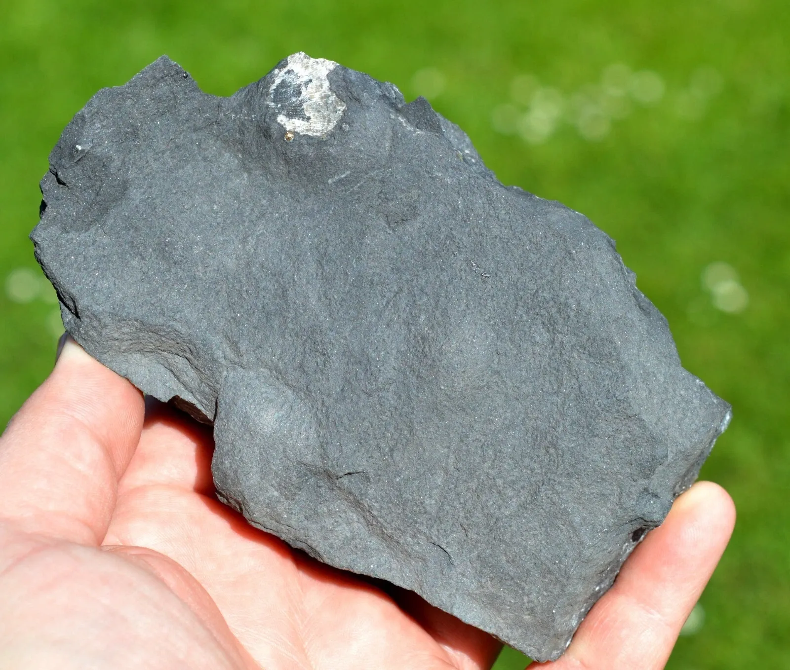 Pyrite 624 grams - Lompret quarry, Lompret, Chimay, Hainaut, Wallonia Belgium - image 5