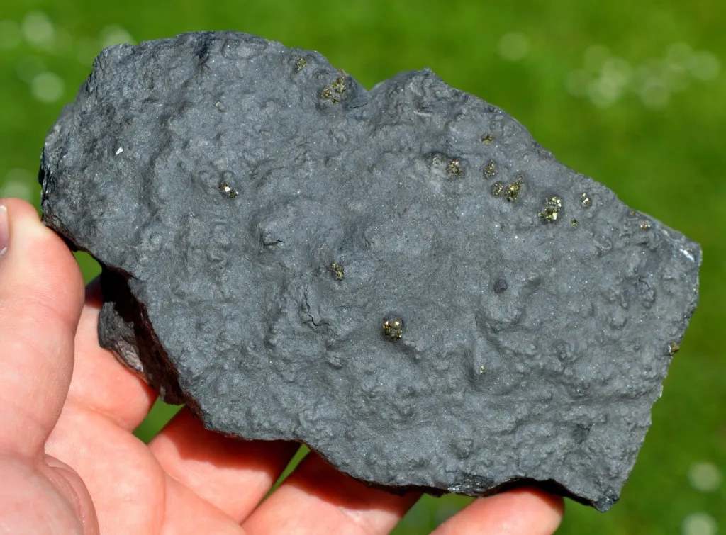 Pyrite 624 grams - Lompret quarry, Lompret, Chimay, Hainaut, Wallonia Belgium image