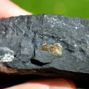 Pyrite 624 grams - Lompret quarry, Lompret, Chimay, Hainaut, Wallonia Belgium - image 3