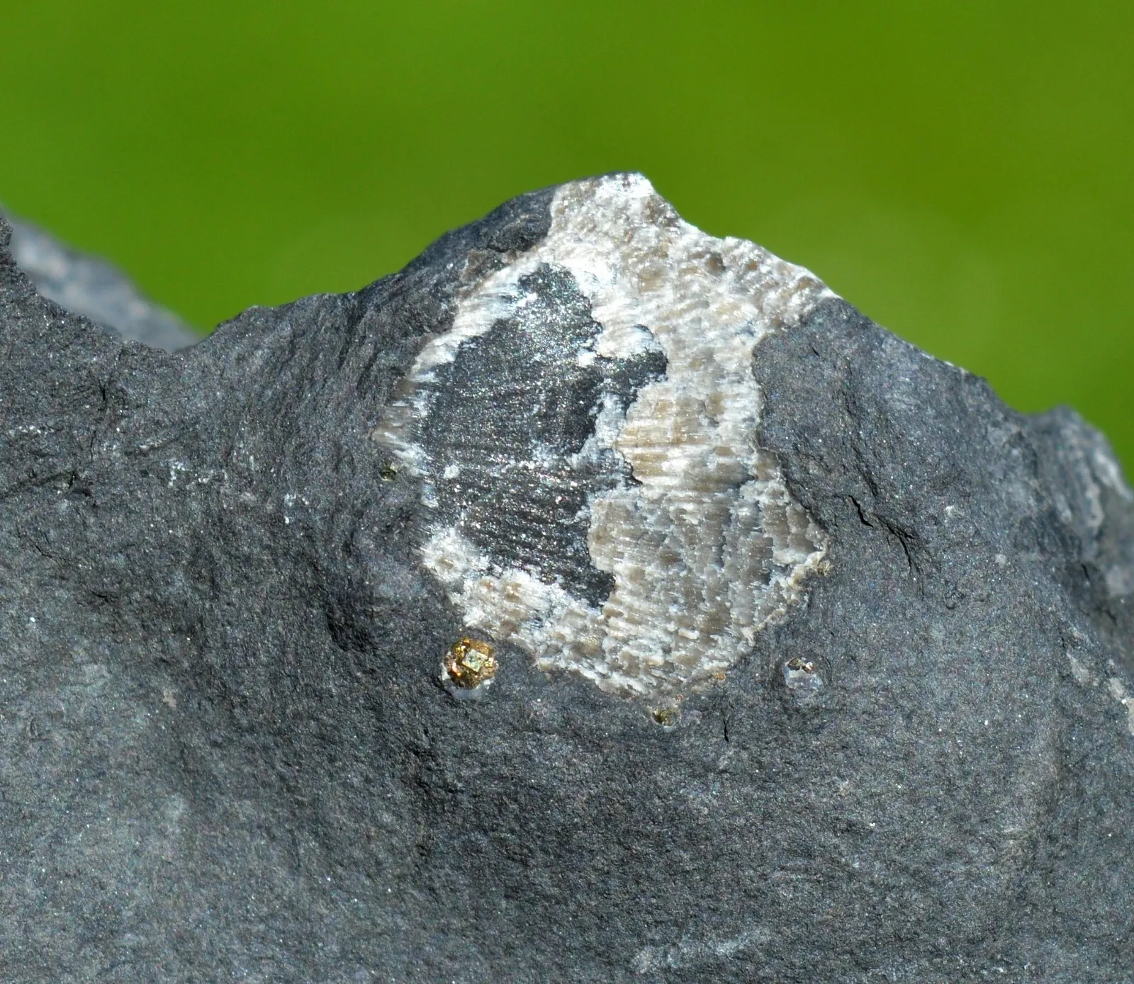 Pyrite 624 grams - Lompret quarry, Lompret, Chimay, Hainaut, Wallonia Belgium - image 6