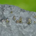 Pyrite 624 grams - Lompret quarry, Lompret, Chimay, Hainaut, Wallonia Belgium - image 2