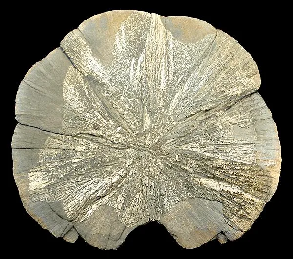 Pyrite image