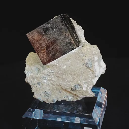 specimen video