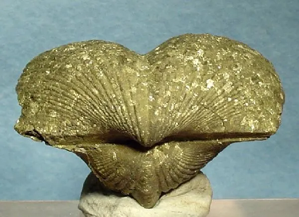 Pyrite image