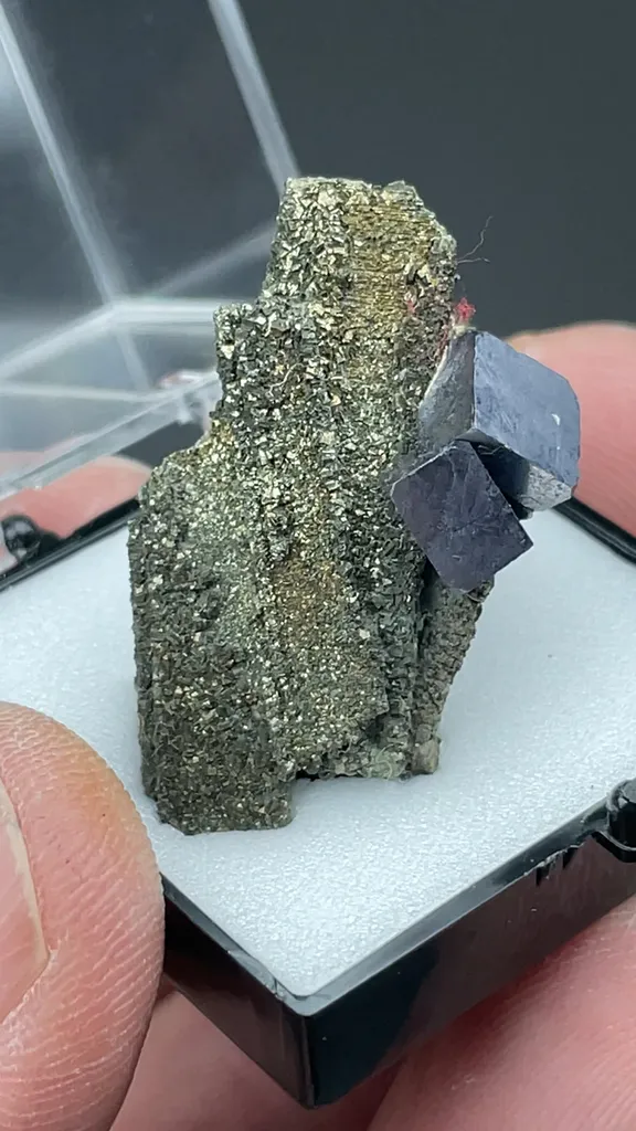 Pyrite after Anhydrite with Galena - image 2