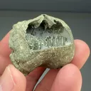 Pyrite after Brachiopod - image 2