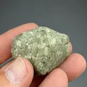 Pyrite after Brachiopod - image 3