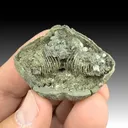 Pyrite after Brachiopod - image 1