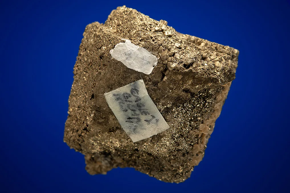 Pyrite after Pyrrhotite - image 4