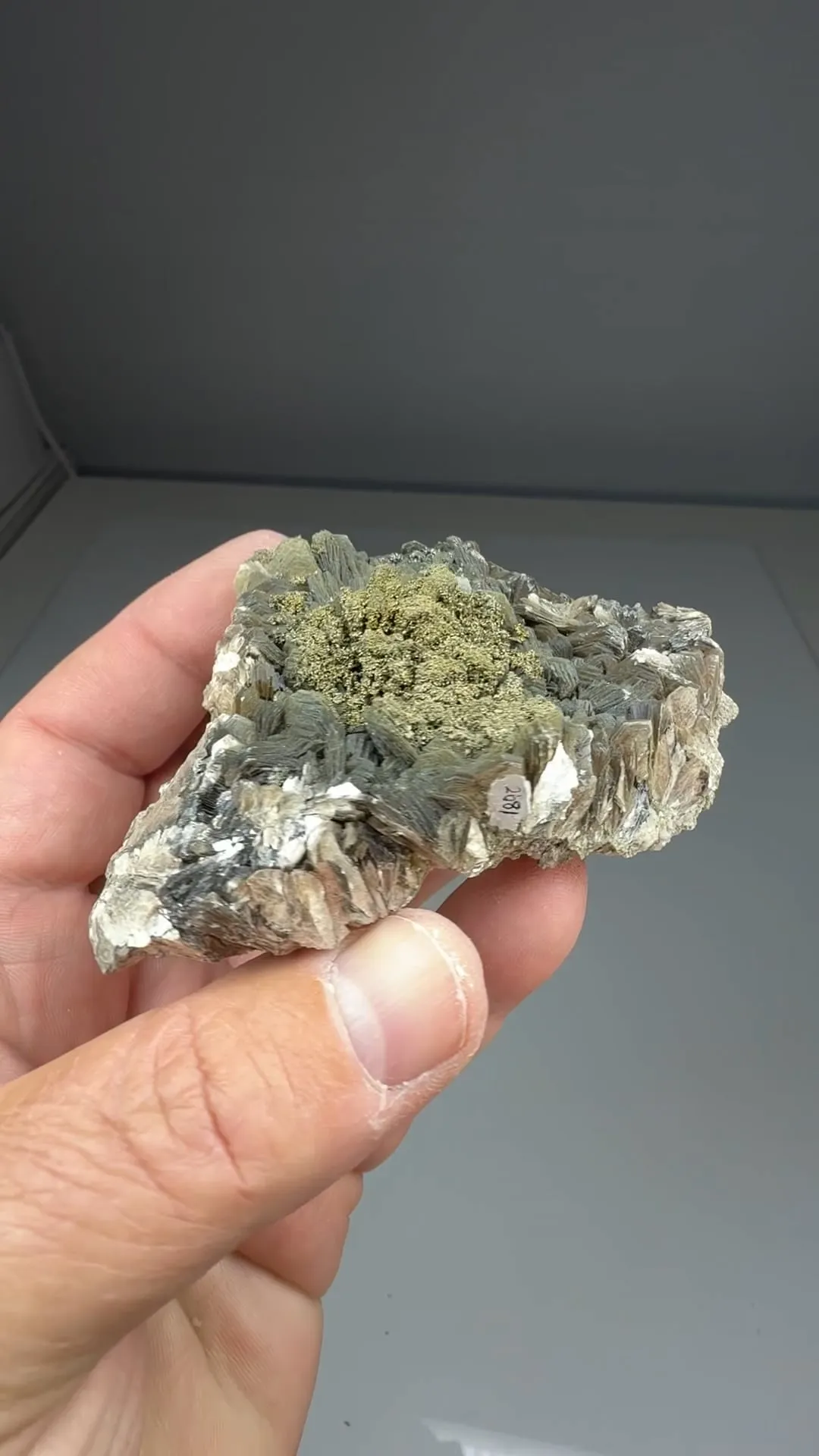Pyrite after Pyrrhtotite with Muscovite - image 2