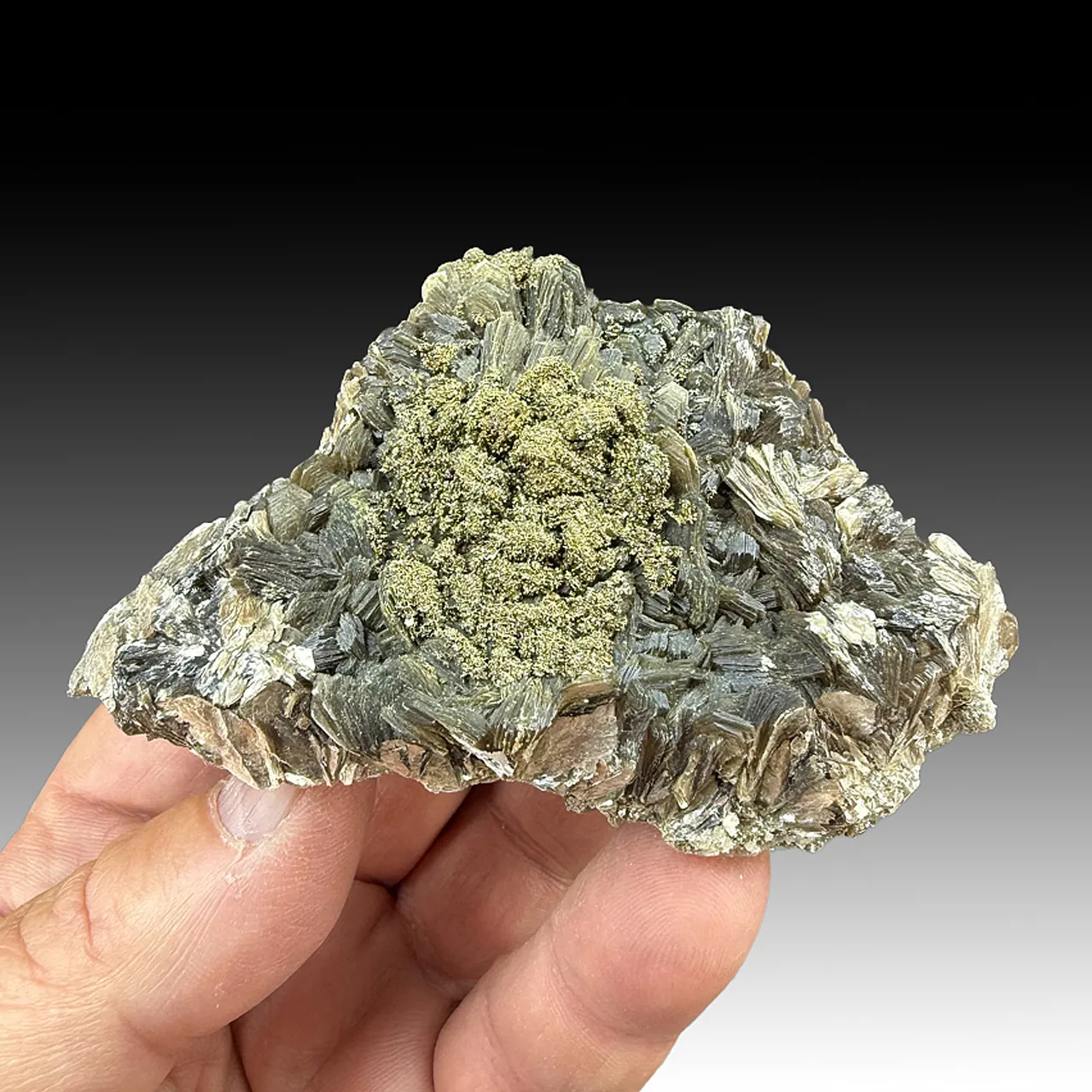 Pyrite after Pyrrhtotite with Muscovite - image 1