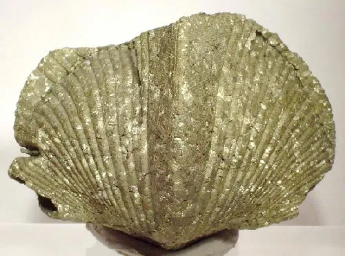Pyrite image