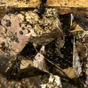 Pyrite - image 3
