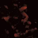 Pyrite, Calcite - image 2