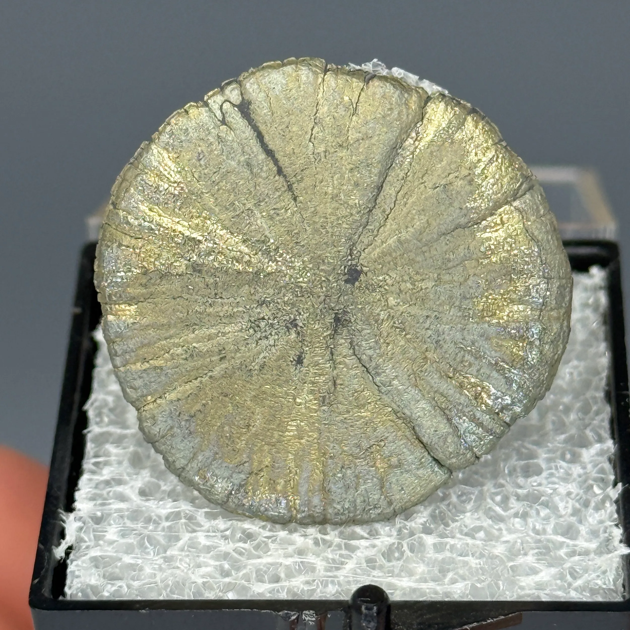 Pyrite - image 1