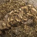Pyrite - image 2
