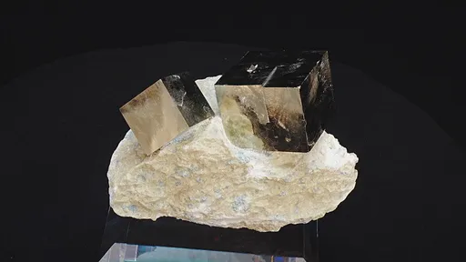 specimen video
