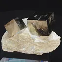 specimen video
