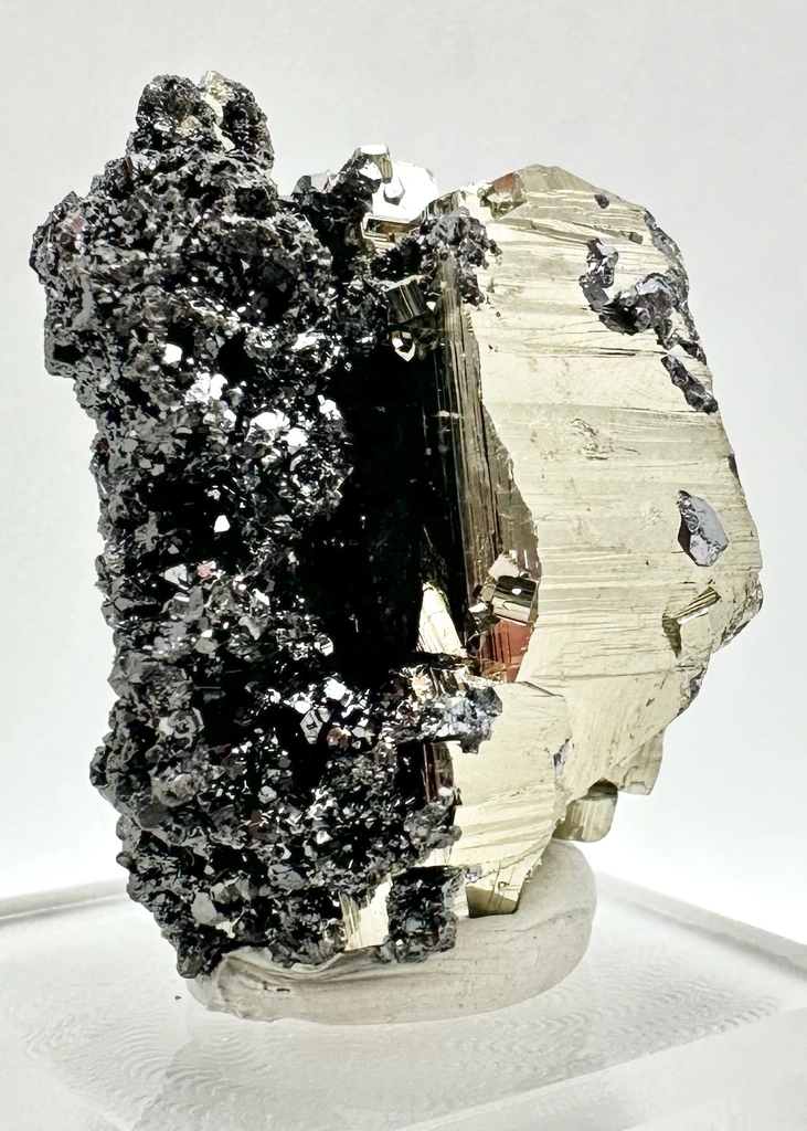 Pyrite from Borieva Mine, Smolyan Province, Bulgaria - image 3