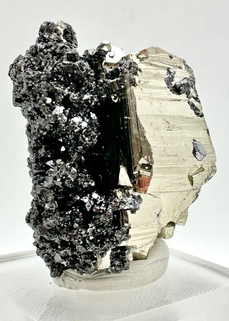 Pyrite from Bulgaria, Smolyan Province, Borieva Mine - image 3