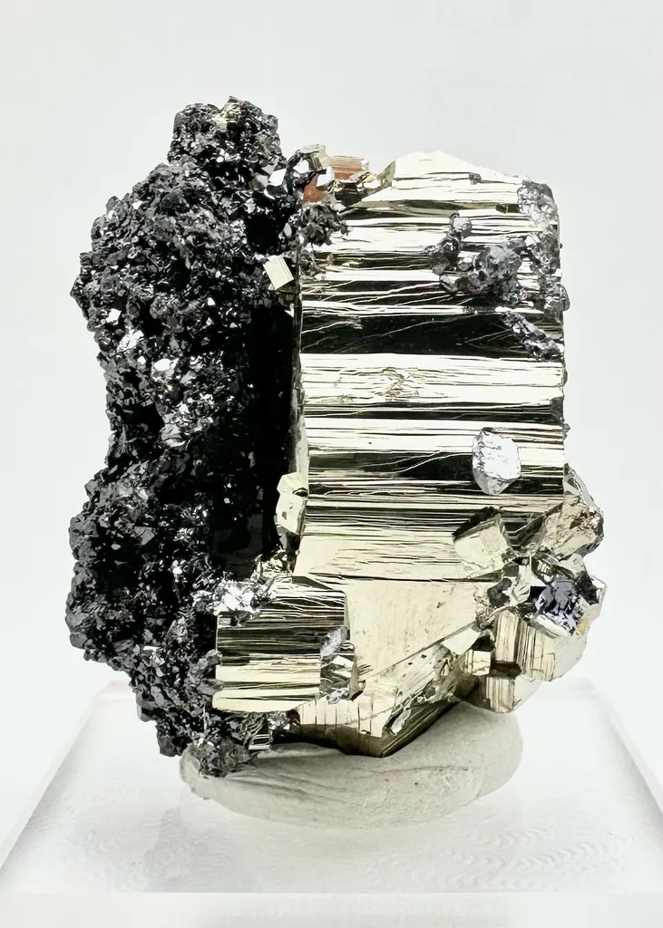 Pyrite from Bulgaria, Smolyan Province, Borieva Mine image
