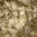 Pyrite from Eagle Mine, Colorado, USA - image 5