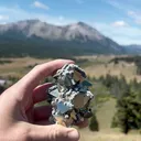 specimen video
