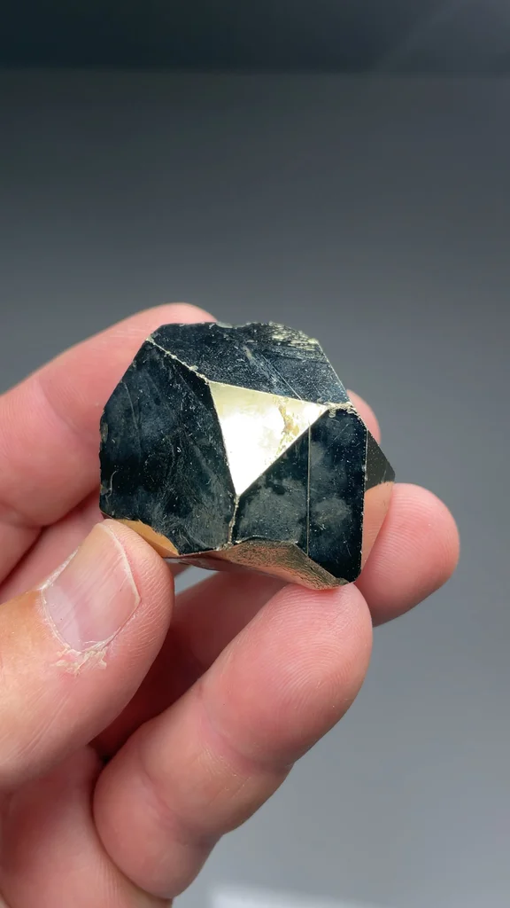 Pyrite from Merelani Hills, Manyara Region, Tanzania - image 2