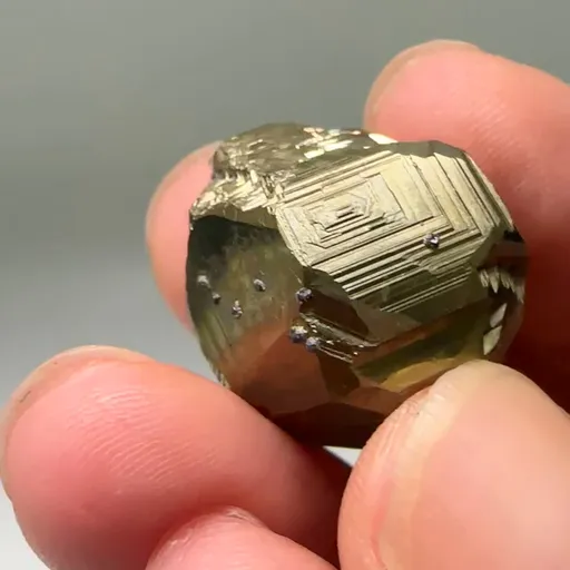 specimen video