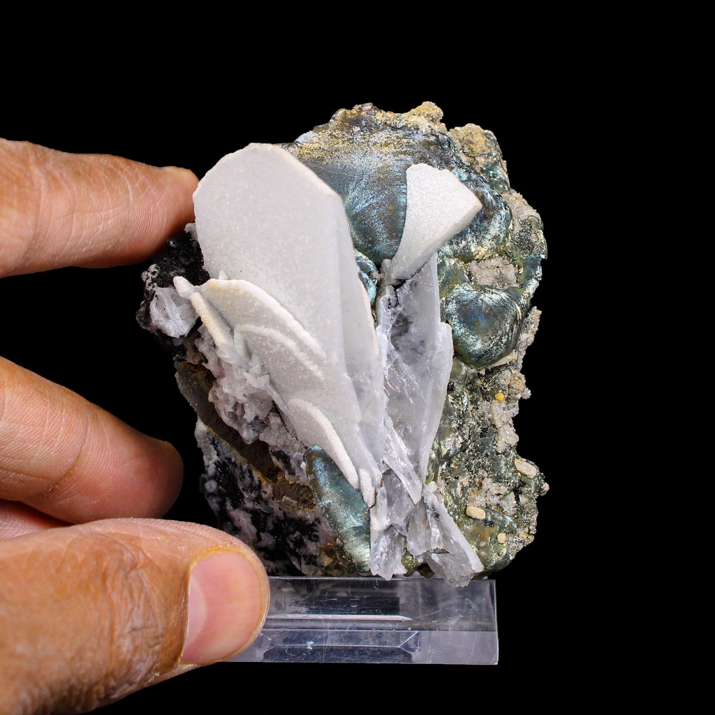Pyrite from Mumbai, Mumbai City District, Maharashtra, India - image 7