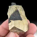 Pyrite from Mundo Nuevo Mine, Mundo Nuevo, La Libertad, Peru - image 1