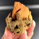specimen video