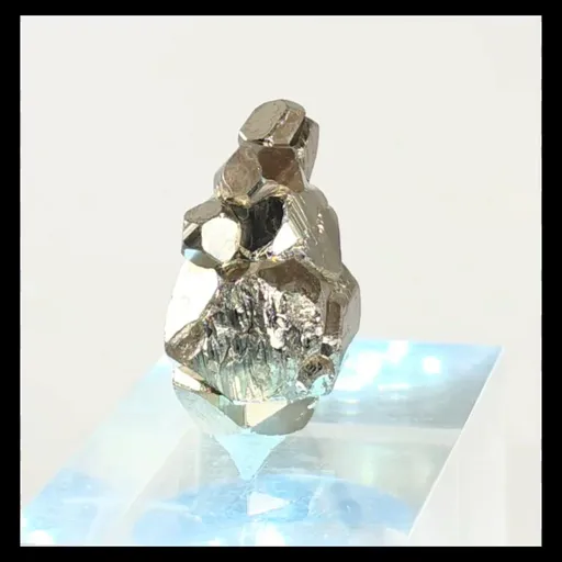 specimen video