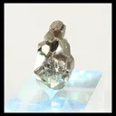 specimen video