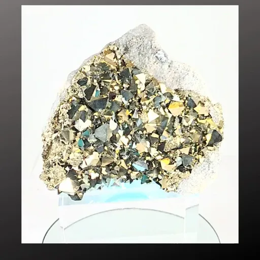 specimen video