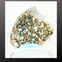 specimen video