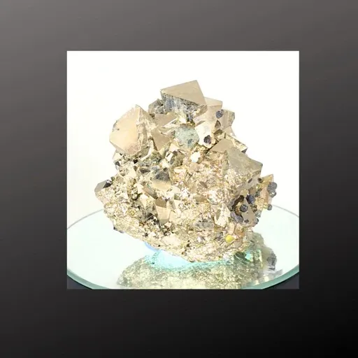 specimen video